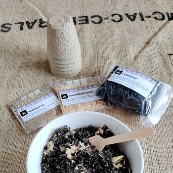 Dad's Chilli Pepper Grow Kit, Father's Day Gift, Dad's Birthday Present, Gardening Gift For Dads Day, 6 of 9