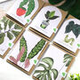 Set Of Six Houseplant Greeting Cards, thumbnail 1 of 12