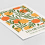 Set Of Two Oranges And Lemons French Art Prints, thumbnail 4 of 5