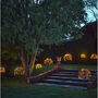 Large Solar Dandelion Outdoor Stake Light, thumbnail 1 of 4