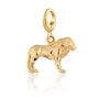 Lion Charm Necklace, Sterling Silver Or Gold Plated, thumbnail 7 of 10