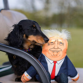 Political Dog Toy, 4 of 7