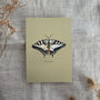 Vintage Feel Butterfly Art Print, thumbnail 7 of 10
