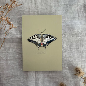 Vintage Feel Butterfly Art Print, 7 of 10