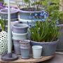 Lace Plant Pot And Saucer, thumbnail 5 of 5