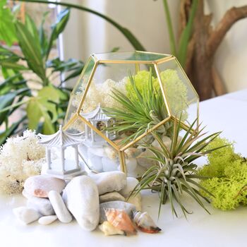 Gold Geometric Terrarium Kit With Air Plant Lover Gift Mother's Day, 7 of 9