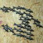 Recycled Metal School Of Fish On Wall, thumbnail 3 of 3