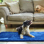 My Stain Resistant Washable Rug, thumbnail 9 of 12