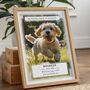 Personalised Pet Loss Dog Memorial Photo Print Wall Art, thumbnail 1 of 6