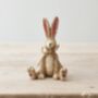 Little Rabbit Sitting Ornament With Twine Bow, thumbnail 4 of 4
