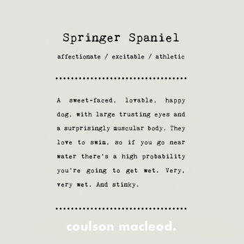 Funny Springer Spaniel Silhouette Dog Card, 2 of 6