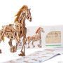 Horse Mechanoid Build Your Own Walking Pet By U Gears, thumbnail 4 of 11