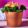 Personalised 'Grown By' Plant Pot, thumbnail 1 of 4