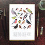 Aves British Garden Birds Art Print, thumbnail 3 of 5