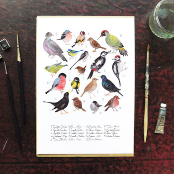 Aves British Garden Birds Art Print, 3 of 5