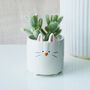 Cute Animal Plant Pot Set, thumbnail 5 of 9