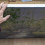 Beltane Landscape Painting, thumbnail 9 of 11