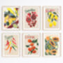 Mediterranean Fruit Print Set | Colourful Kitchen Wall Art, thumbnail 1 of 12