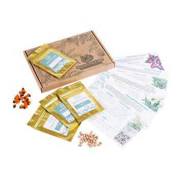 Monthly Tropical Houseplant Seed Subscription Box, 2 of 12