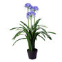 Blue Silk Flower Artificial Pot Plant Large 3ft, thumbnail 1 of 2