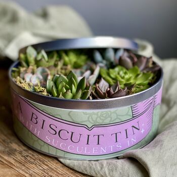 Succulents In A Biscuit Tin, 10 of 12