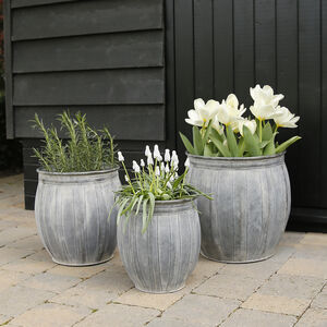 Personalised Plant Pots And Planters 