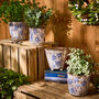 Milburn Blue Floral Plant Pots, thumbnail 1 of 5