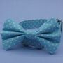 Baby Blue Polkadot Dog Bow Tie, thumbnail 1 of 6