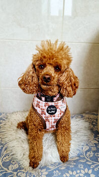 Vintage Bears Gingham Dog Harness With Optional Set, 5 of 9