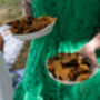 Short Guided Foraging Walk For Two In The South Downs, thumbnail 11 of 12