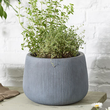 Silverstone Symmetry Stripe Planter, 3 of 7