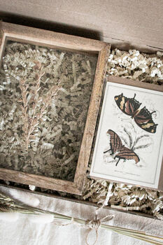 Luxury Botanical Dried Flower And Home Christmas Gift Set, 5 of 8