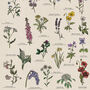 British Wildflower Botanical Print, thumbnail 5 of 11