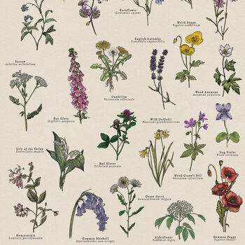 British Wildflower Botanical Print, 5 of 11