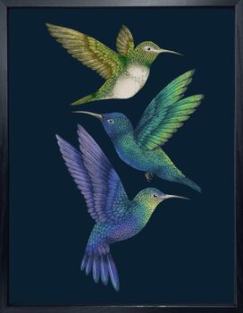 'Antique Hummingbirds Ii Indigo' Fine Art Print, 2 of 5