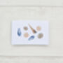 Sea Shell Wrapping Paper, thumbnail 3 of 3