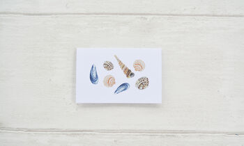 Sea Shell Wrapping Paper, 3 of 3