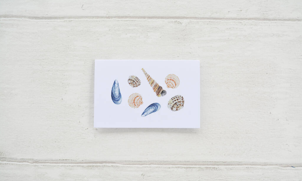 Sea Shell Wrapping Paper