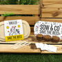 Sow And Co Grow Kits Chilli, Bonsai, Herbs Or Cactus, thumbnail 10 of 12