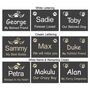 Small Personalised Pet Memorial Plaque, thumbnail 3 of 3