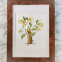 Y Is For Ylang Ylang Illuminated Floral Letter, thumbnail 1 of 6