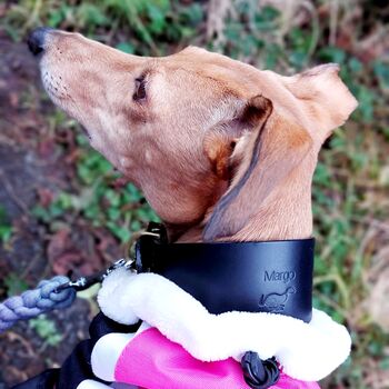 Personalised Whippet / Lurcher / Greyhound Collar And Lead Blue, 5 of 12