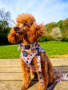 Little Enchanted Meadows Floral Dog Harness, 3 of 11