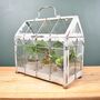 Mini Indoor Greenhouse With Plants Victorian Style, thumbnail 1 of 8