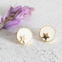 Gold Plated Star Circle Stud Earrings, thumbnail 9 of 11