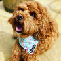 Skye Turquoise Floral Dog Collar, thumbnail 2 of 5