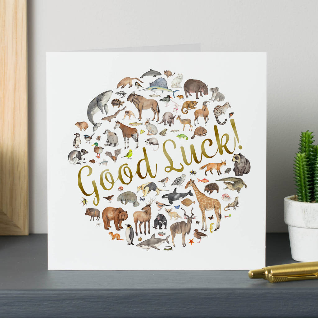 Animal Good Luck Card By Dani Williams Art & Illustration |  