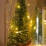 Christmas Terrarium Kit, Glass Dome With Fairy Lights, thumbnail 2 of 8