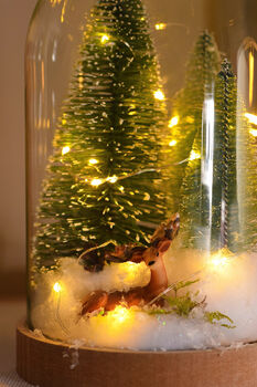 Christmas Terrarium Kit, Glass Dome With Fairy Lights, 2 of 8