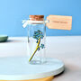 Forget Me Not Miniature Message Bottle Gift, thumbnail 1 of 3
